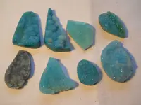 DSCN1130.webp
