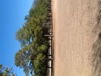 image-4097443291.webp