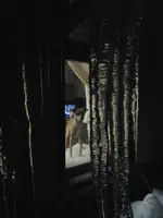 2013-03-20 21.15.32.webp