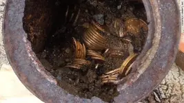 coins.webp