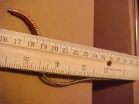 bendcurve3.webp