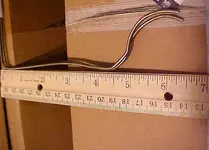 bendcurve4.webp