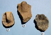 MITCHELL_POINT3_small.webp