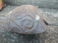 IMGP1218.webp