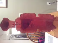 20140207_235335.webp