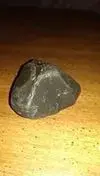 1383616_10153928274030300_564239908_a.webp