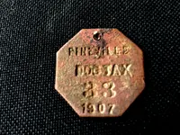 Pineville Dog Tax 1907.webp