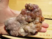 DSCN5747.webp
