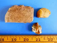 DSCN5561.webp