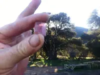 Tourmaline 2013.webp
