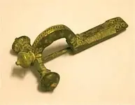 fibula.webp