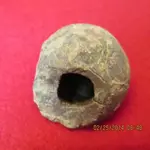 2014 02 25_7104_edited-1.webp