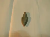 DSCN0812.webp
