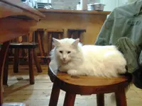 2014-01-08 21.21.39.webp