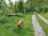 ghostpic.webp