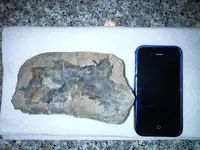 20140303_094225.webp