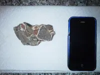 20140303_094507.webp