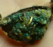 gold old ring before sm.webp