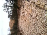 photo_2.webp