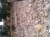 photo_3.webp