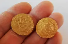 1   and 2  escudos  .webp