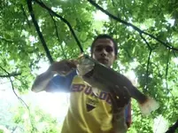 cpbass2.webp