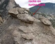 rocks-on-turtles-back2.webp
