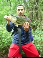 VCBass.webp
