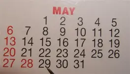 date (Small).webp