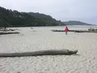 Big River Beach.webp