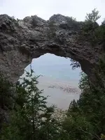 tnet49.webp