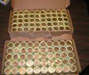 Boxes4-5s.webp Boxes4-5s.webp