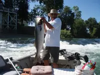 32 lbs.webp