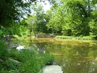 100_0126.webp