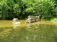 100_0124.webp