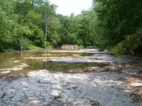 100_0121.webp