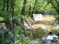 100_0132.webp