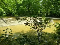 100_0129.webp