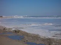101_7120.webp