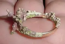 CORALRING.webp