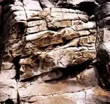 the treasure map modified.webp
