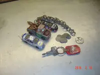 Lion Park Finds.webp