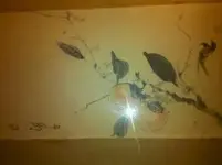 555.webp