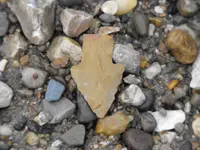 DSCF2045.webp