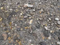 DSCF2047.webp