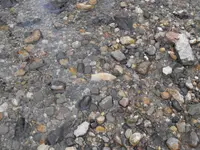 DSCF2048.webp