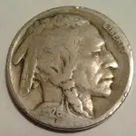 26 buffalo.webp