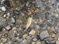 DSCF2049.webp