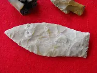 DSCF2053.webp