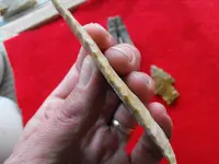 DSCF2055.webp